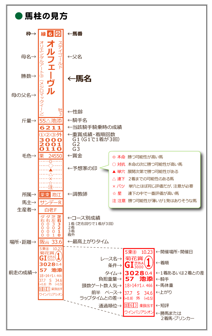 馬柱の見方