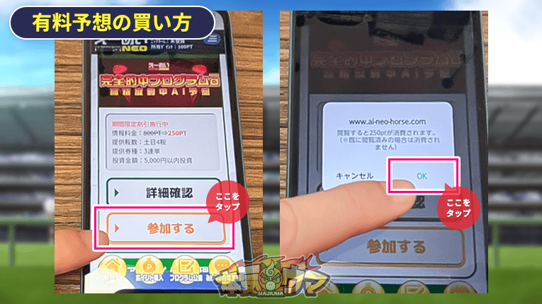 完全的中プログラムaに参加