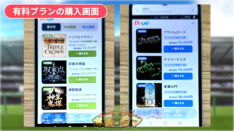 有料プランの購入画面