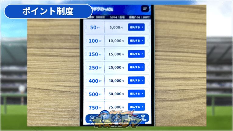 カチウマドットコムのポイント制度