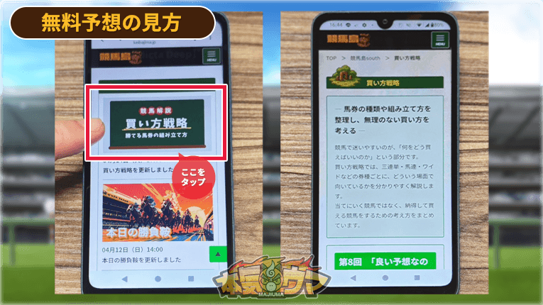 競馬島の買い方戦略コンテンツ