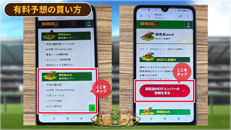競馬島の有料予想の買い方