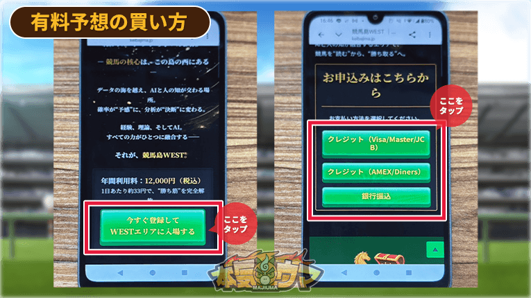 競馬島の有料予想の購入画面