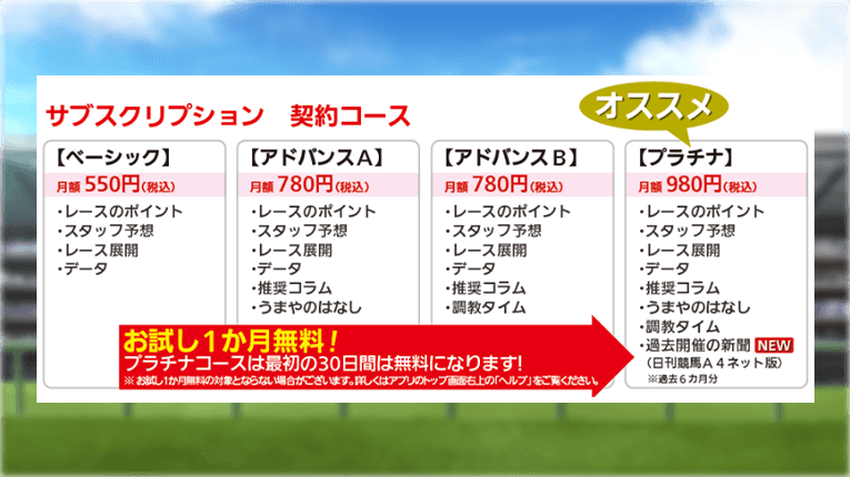 日刊競馬の通常プラン