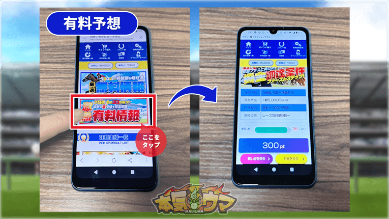 ラクショープラスの有料情報の内容