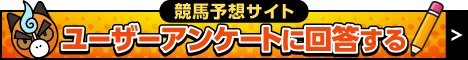 ユーザーアンケートに回答する