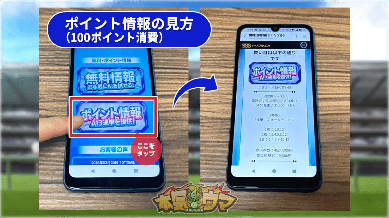 トリプルエスのポイント情報の見方