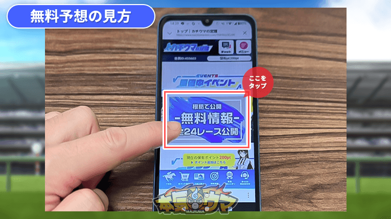 カチウマの定理の無料予想の見方