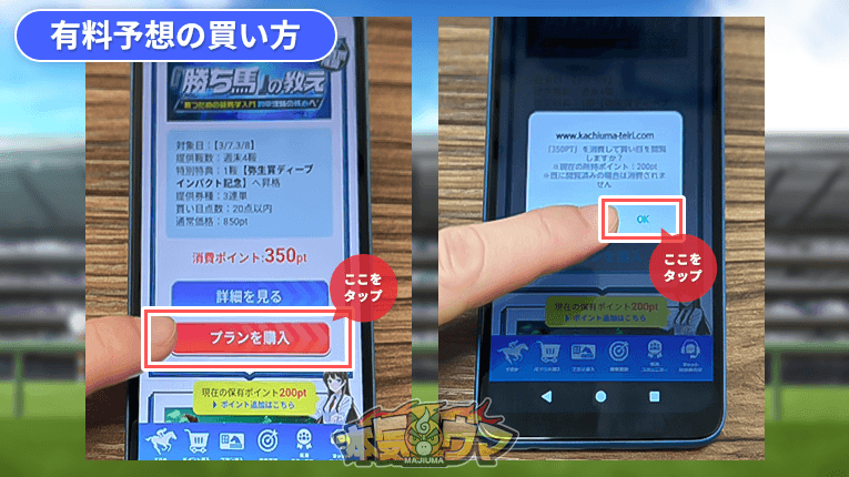 カチウマの定理の有料予想の購入方法