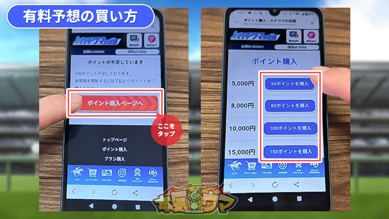 ポイント購入ページ