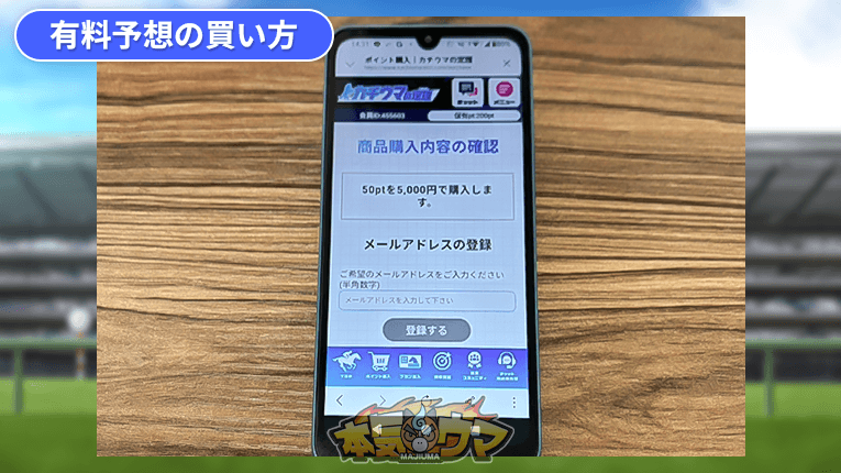 ポイント購入の確認画面