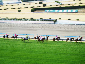 小倉競馬場コースその2