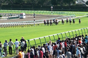 中山競馬場コース