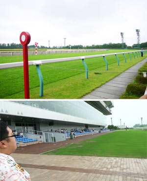 新潟競馬場コース