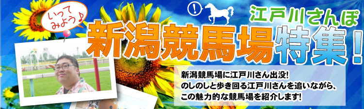 新潟競馬場特集