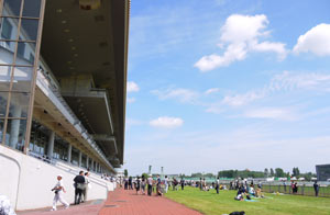 札幌競馬場のスタンド前で