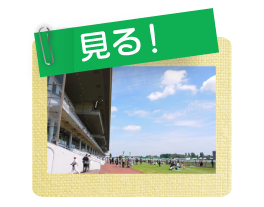 見る