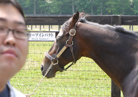 ディープインパクトと江戸川氏