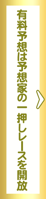 有料予想は予想家の一押しレースを開放