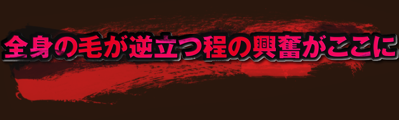 全身の毛が逆立つ程の興奮がここに