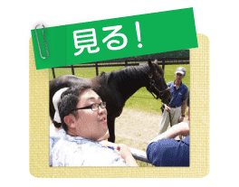見る
