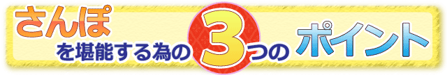 競馬場を堪能する3つのポイント
