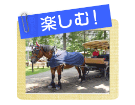 楽しむ